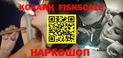 a pvp Краснознаменск