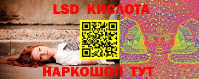 a pvp Краснознаменск