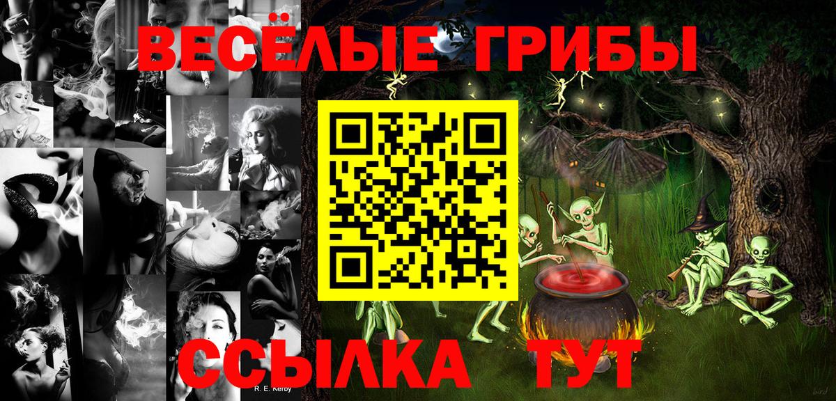 Галлюциногенные грибы Psilocybe  Вход с VPN  Псилоцибиновые грибы мицелий  Королёв 